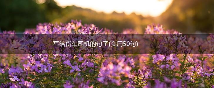 写给货车司机的句子(实用50句),第1张
