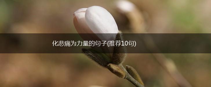 化悲痛为力量的句子(推荐10句),第1张
