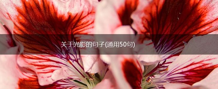 关于光影的句子(通用50句),第1张