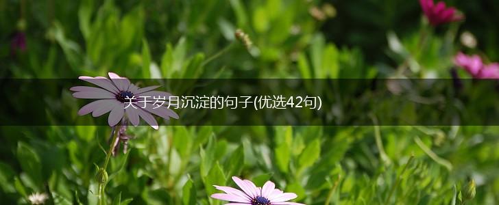 关于岁月沉淀的句子(优选42句),第1张