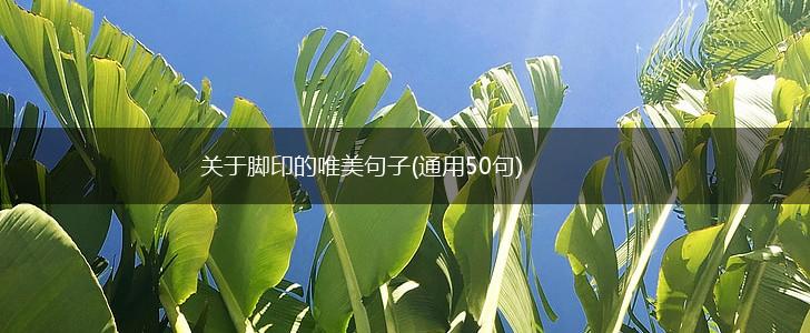 关于脚印的唯美句子(通用50句),第1张