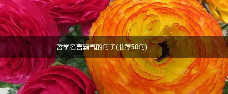 哲学名言霸气的句子(推荐50句),第1张