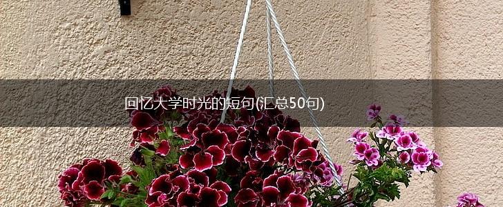 回忆大学时光的短句(汇总50句),第1张