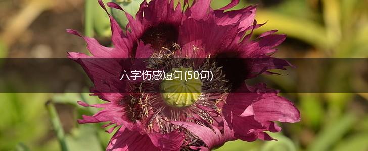 六字伤感短句(50句),第1张