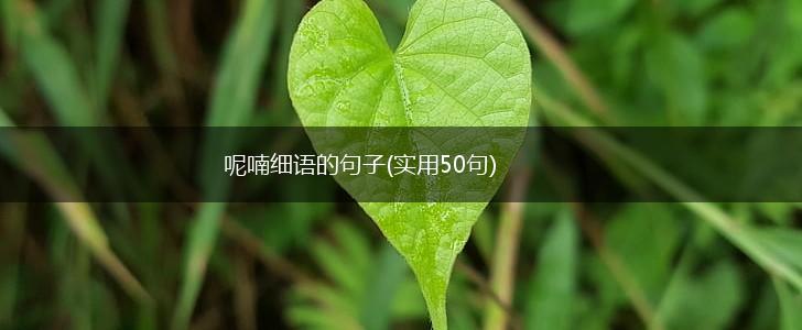 呢喃细语的句子(实用50句),第1张