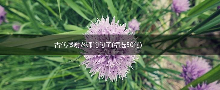 古代感谢老师的句子(精选50句),第1张