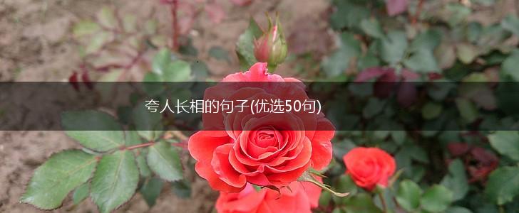 夸人长相的句子(优选50句),第1张