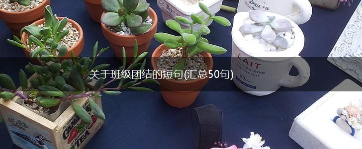 关于班级团结的短句(汇总50句),第1张