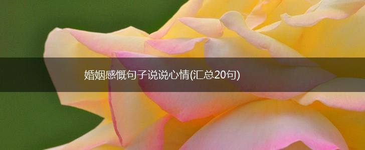 婚姻感慨句子说说心情(汇总20句),第1张