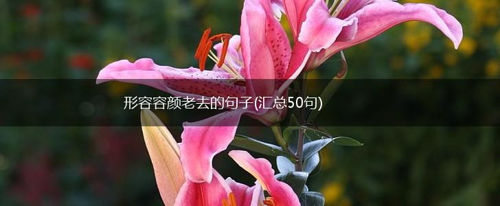 形容容颜老去的句子(汇总50句),第1张