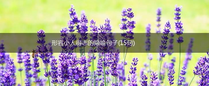 形容小人得志的隐喻句子(15句),第1张
