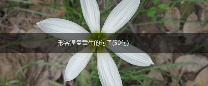 形容涅盘重生的句子(50句),第1张