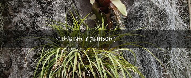 夸班级的句子(实用50句),第1张