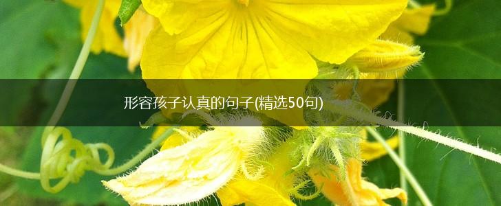 形容孩子认真的句子(精选50句),第1张