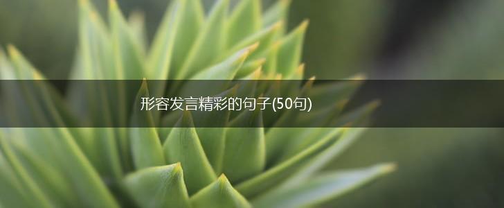 形容发言精彩的句子(50句),第1张