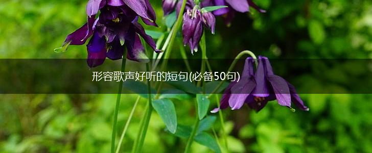 形容歌声好听的短句(必备50句),第1张