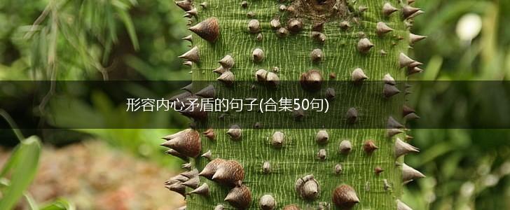 形容内心矛盾的句子(合集50句),第1张