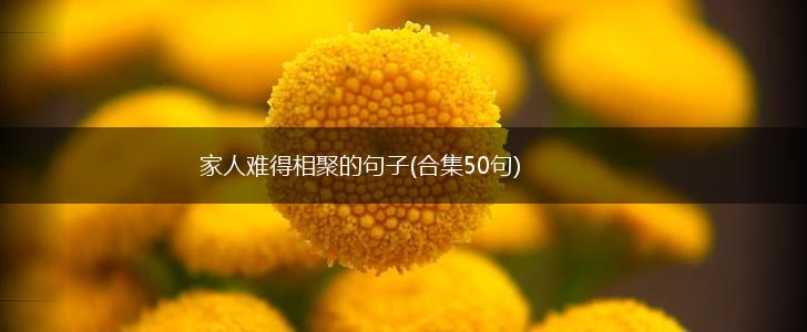 家人难得相聚的句子(合集50句),第1张