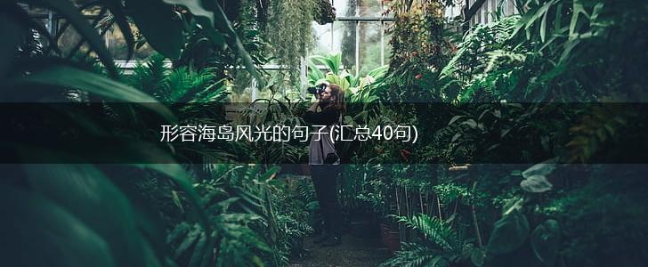 形容海岛风光的句子(汇总40句),第1张