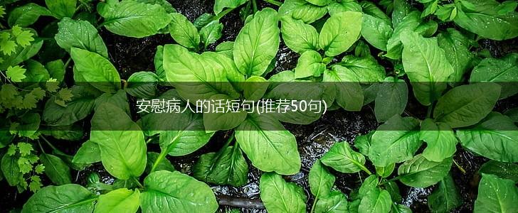 安慰病人的话短句(推荐50句),第1张