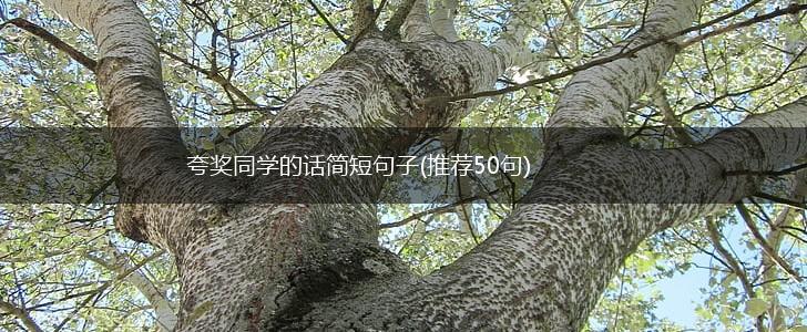 夸奖同学的话简短句子(推荐50句),第1张