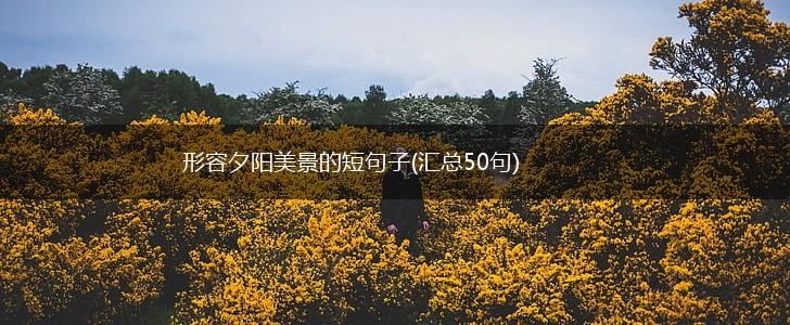 形容夕阳美景的短句子(汇总50句),第1张