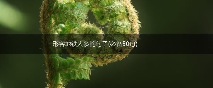 形容地铁人多的句子(必备50句),第1张