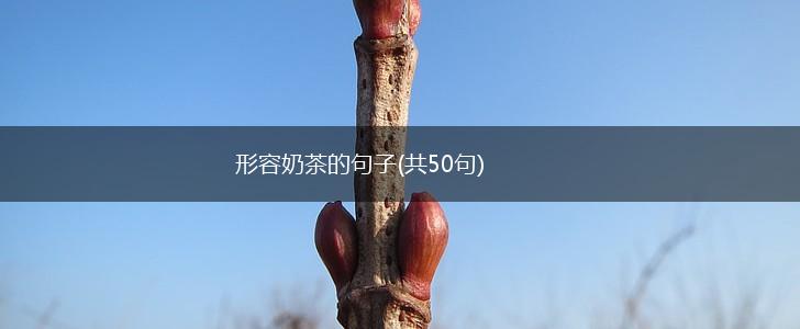 形容奶茶的句子(共50句),第1张
