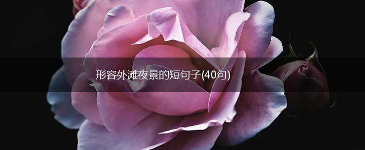 形容外滩夜景的短句子(40句),第1张