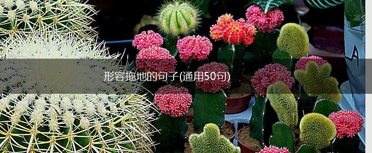 形容拖地的句子(通用50句),第1张