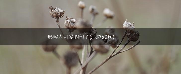形容人可爱的句子(汇总50句),第1张