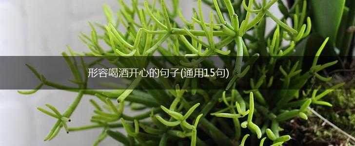 形容喝酒开心的句子(通用15句),第1张
