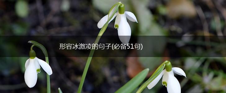 形容冰激凌的句子(必备51句),第1张