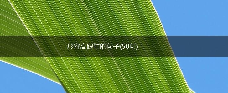 形容高跟鞋的句子(50句),第1张