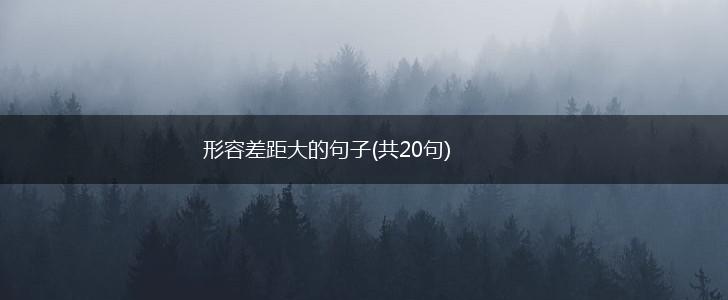 形容差距大的句子(共20句),第1张