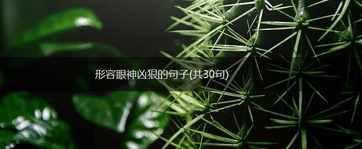 形容眼神凶狠的句子(共30句),第1张