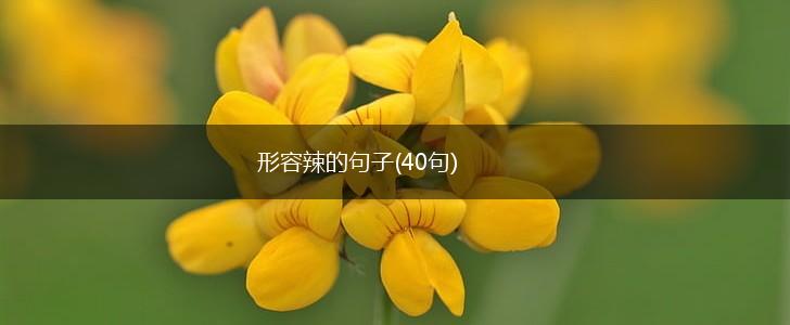 形容辣的句子(40句),第1张