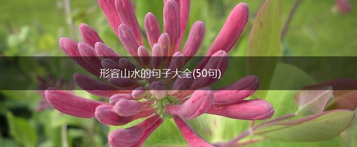 形容山水的句子大全(50句),第1张