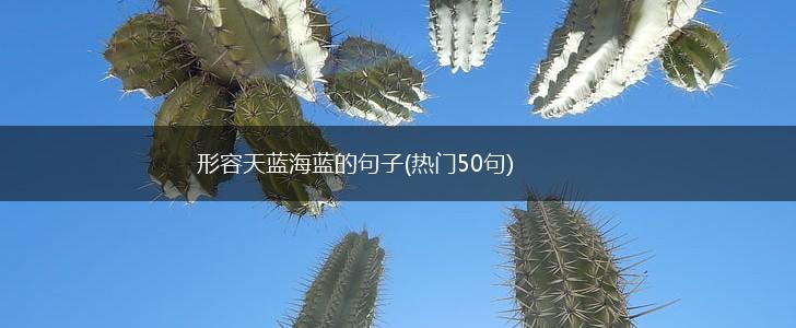 形容天蓝海蓝的句子(热门50句),第1张