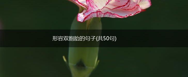 形容双胞胎的句子(共50句),第1张