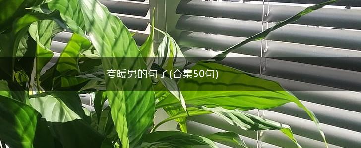 夸暖男的句子(合集50句),第1张