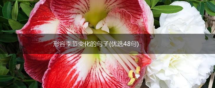 形容季节变化的句子(优选48句),第1张