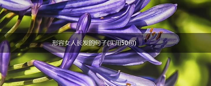 形容女人长发的句子(实用50句),第1张 形容女人长发的句子(实用50句),第1张