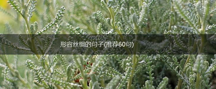 形容丝绸的句子(推荐60句),第1张