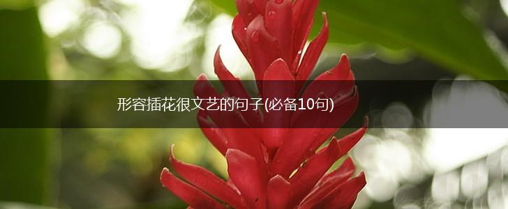 形容插花很文艺的句子(必备10句),第1张