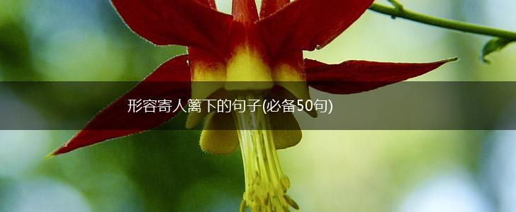 形容寄人篱下的句子(必备50句),第1张