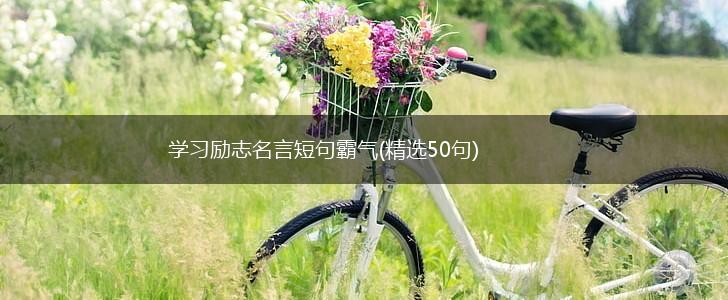 学习励志名言短句霸气(精选50句),第1张