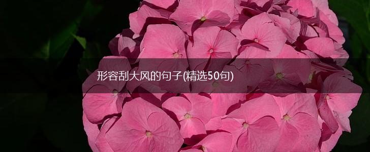 形容刮大风的句子(精选50句),第1张