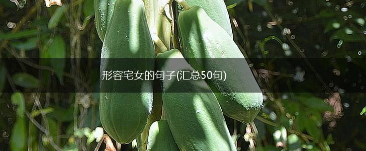 形容宅女的句子(汇总50句),第1张