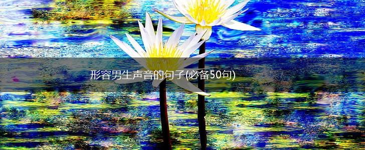 形容男生声音的句子(必备50句),第1张